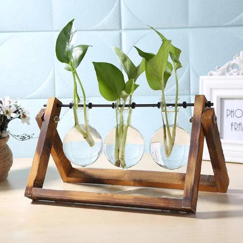 Glass and Wood Vase Planter - The Gift Shop