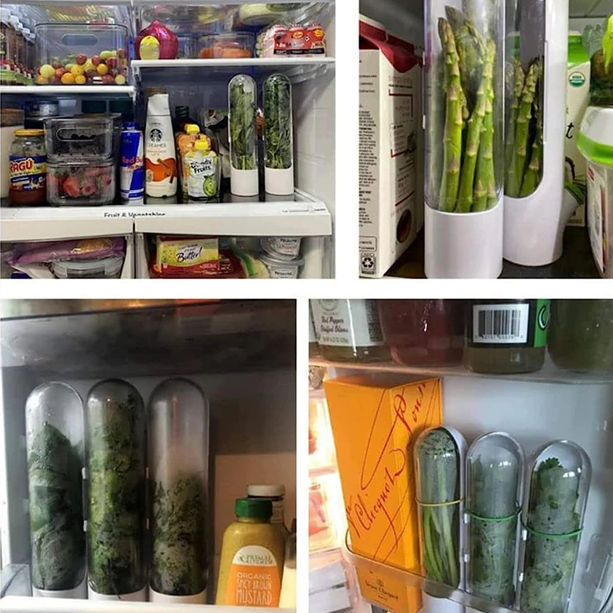 Herb Saver Storage Container | Keep Your Herbs Fresh Longer - The Gift Shop