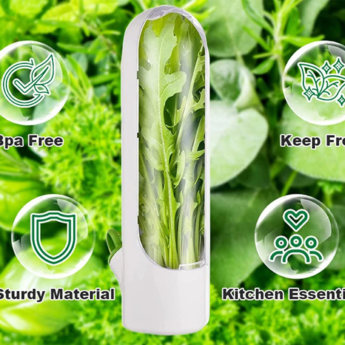 Herb Saver Storage Container | Keep Your Herbs Fresh Longer - The Gift Shop