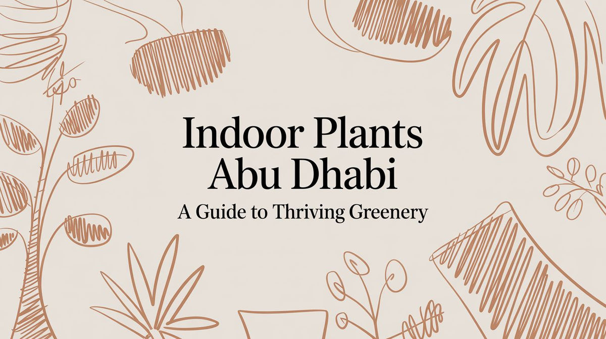 A Guide to Thriving Indoor Plants in Abu Dhabi - The Gift Shop