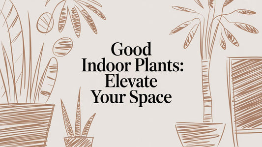 Good Indoor Plants: A Guide to Calm and Considered Greenery - The Gift Shop