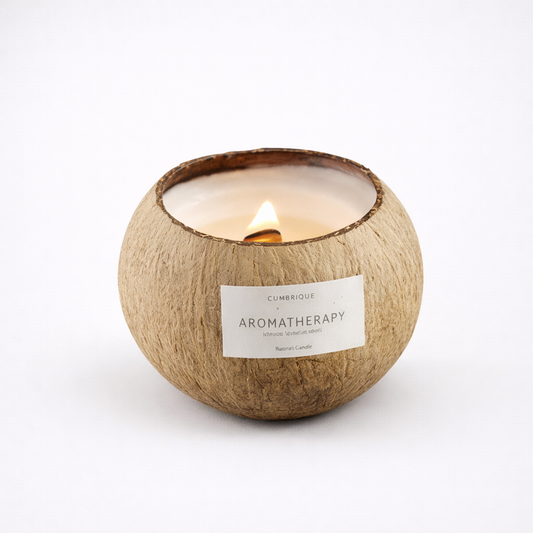 Candle in a coconut shell with a label on a white background
