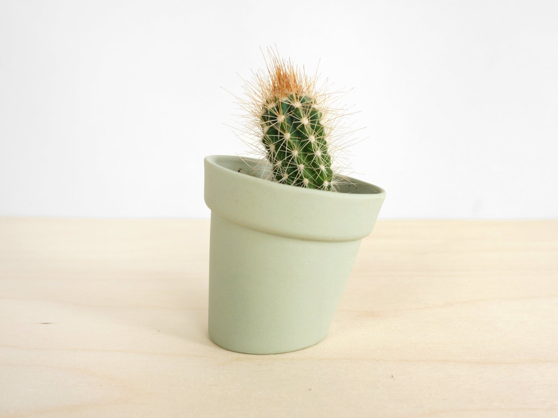 Distort Flowerpots Set of 3 – Thoughtful Gift from The Gift Shop UAE