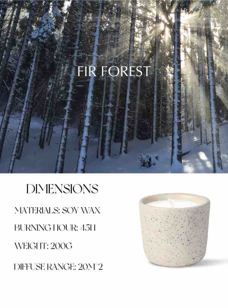 Fir Forest Wood Wick Candle