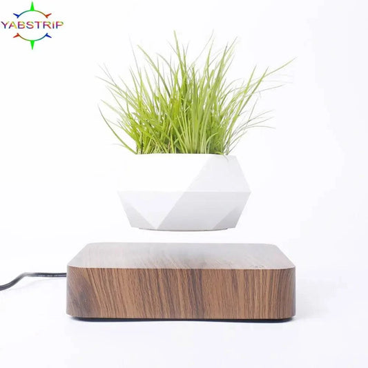 Potted Plant Home Desk Decor - Enhance Your Workspace - The Gift Shop