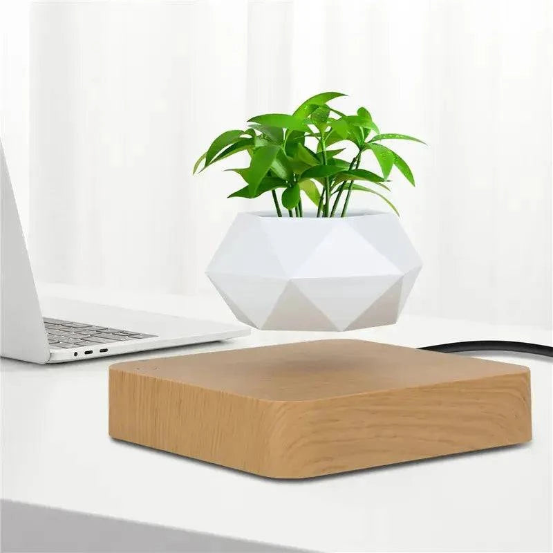 Potted Plant Home Desk Decor - Enhance Your Workspace - The Gift Shop