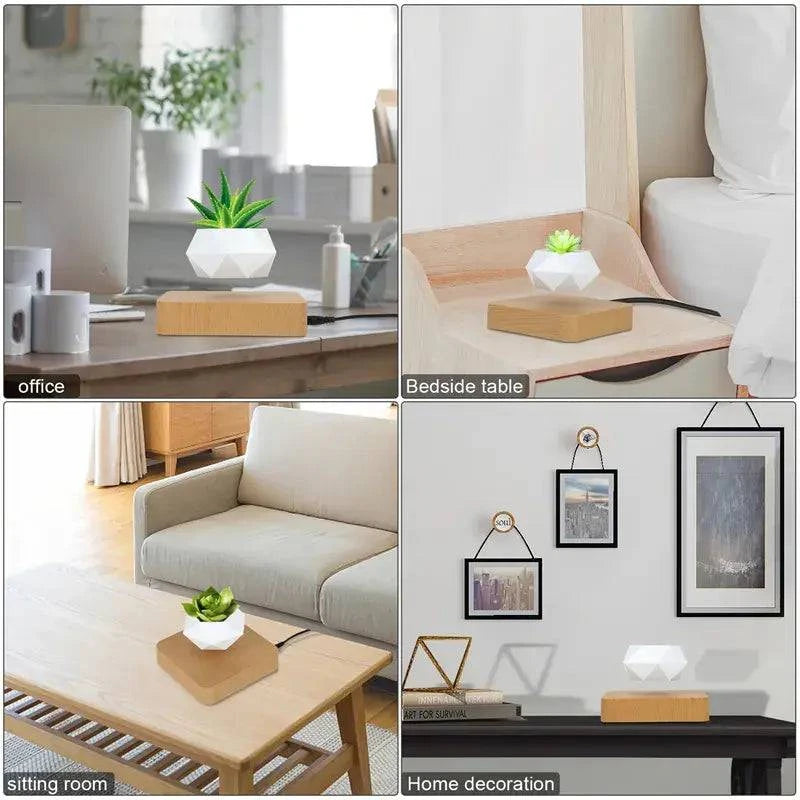 Potted Plant Home Desk Decor - Enhance Your Workspace - The Gift Shop