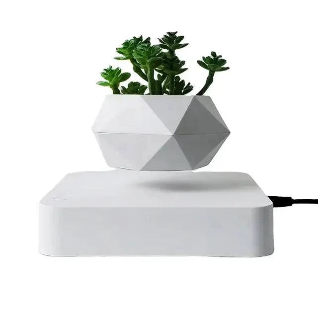 Potted Plant Home Desk Decor - Enhance Your Workspace - The Gift Shop