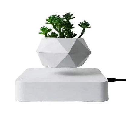 Potted Plant Home Desk Decor - Enhance Your Workspace - The Gift Shop