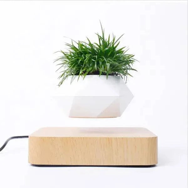 Potted Plant Home Desk Decor - Enhance Your Workspace - The Gift Shop