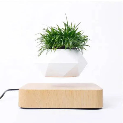 Potted Plant Home Desk Decor - Enhance Your Workspace - The Gift Shop