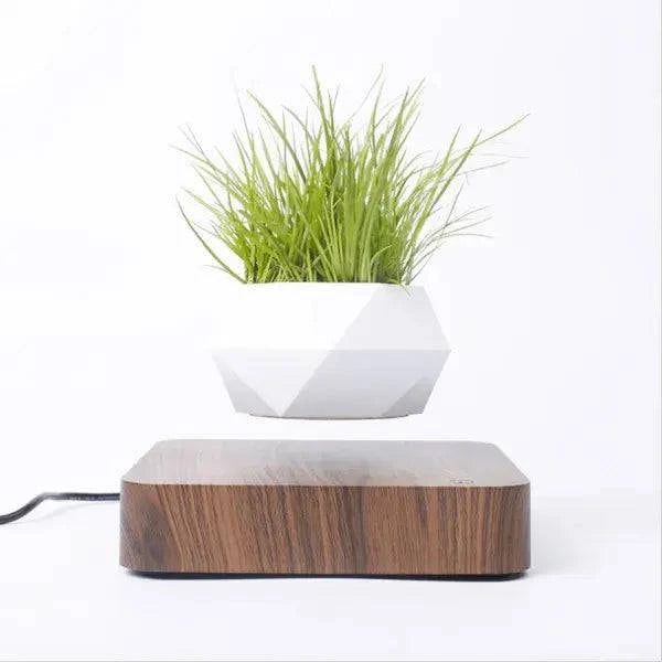 Potted Plant Home Desk Decor - Enhance Your Workspace - The Gift Shop
