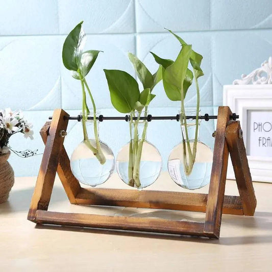 Glass and Wood Vase Planter - The Gift Shop