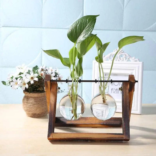 Glass and Wood Vase Planter - The Gift Shop