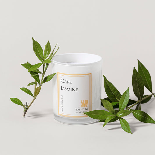 Scented Candle - Cape Jasmine Soy - The Gift Shop