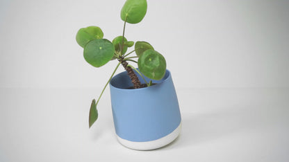 Indoor Flower Pot – Tilting Design