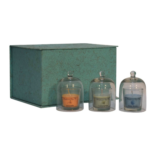 Round Candle Set of 3 (Summer) – Thoughtful Gift from The Gift Shop UAE