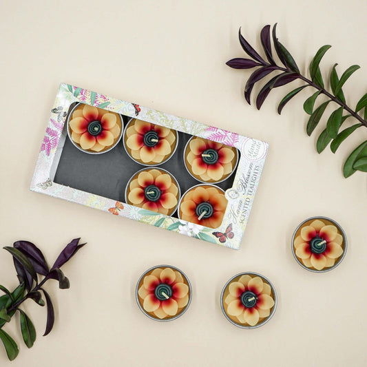 Sunflower Scented Tea Light Set – Box of 8 – Thoughtful Gift from The Gift Shop UAE