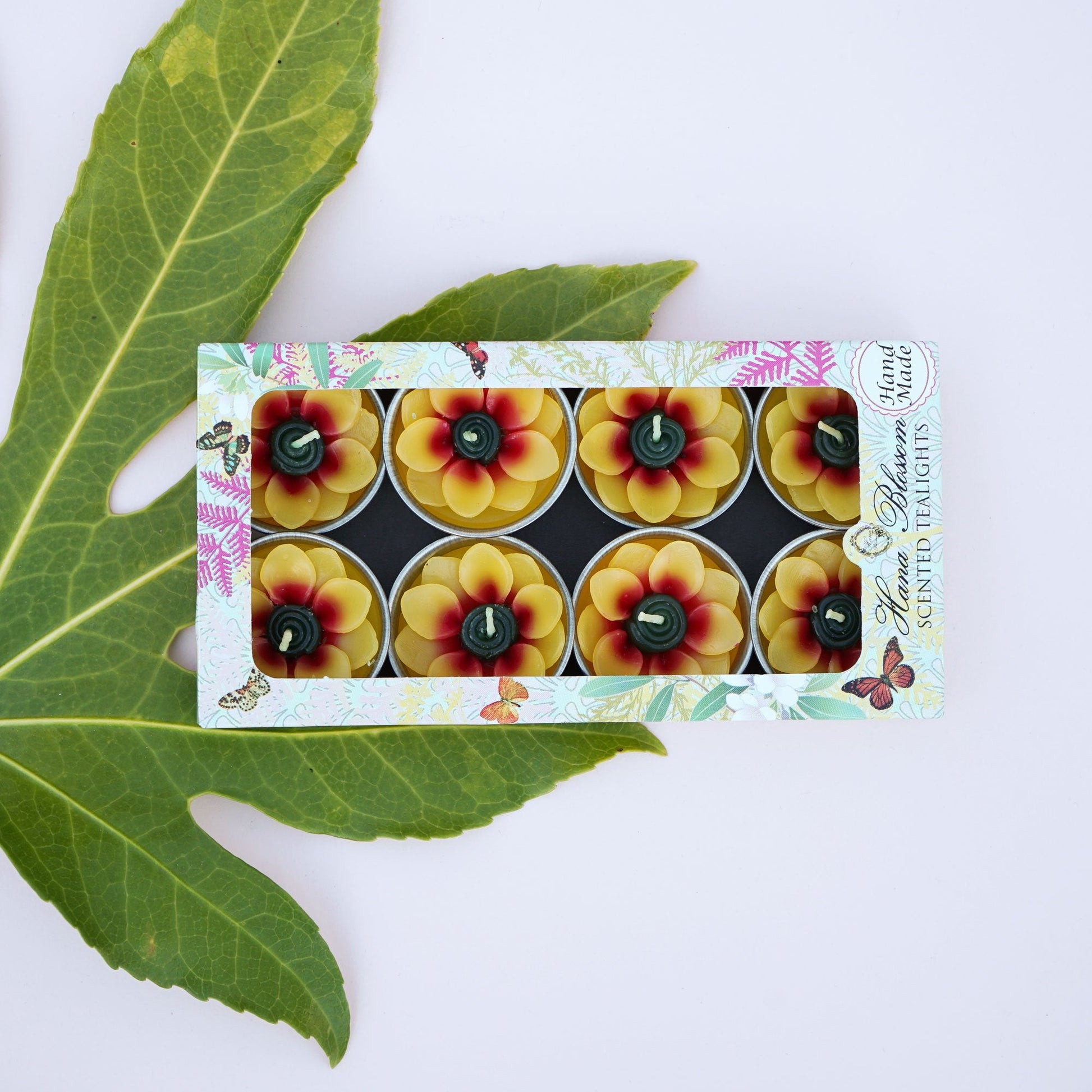 Hand-poured sunflower-shaped tealights in botanical gift box, scented with Indian jasmine