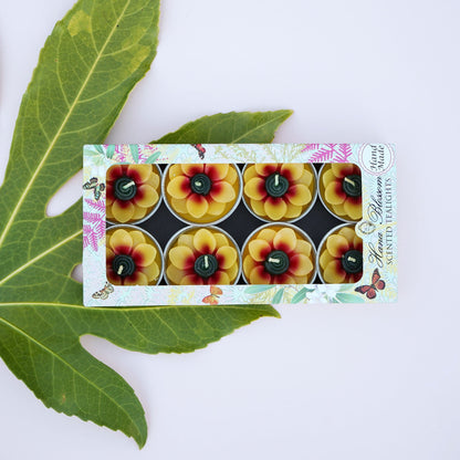 Hand-poured sunflower-shaped tealights in botanical gift box, scented with Indian jasmine