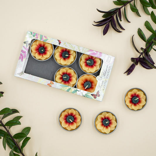 Hand-poured sunflower-shaped tealights in botanical gift box, scented with Indian jasmine