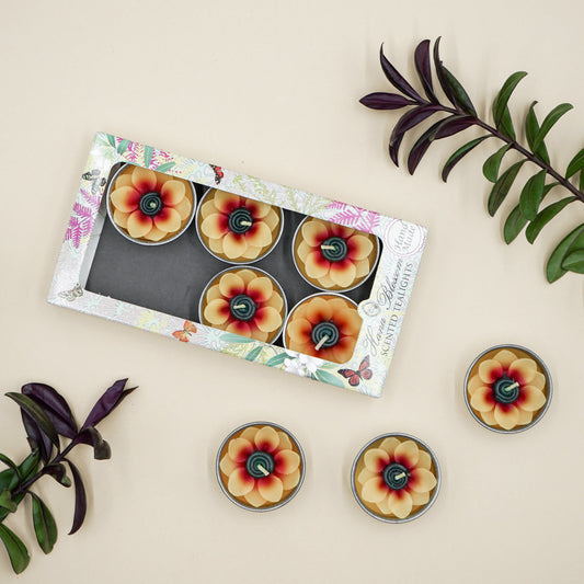 Hand-poured sunflower-shaped tealights in botanical gift box, scented with Indian jasmine