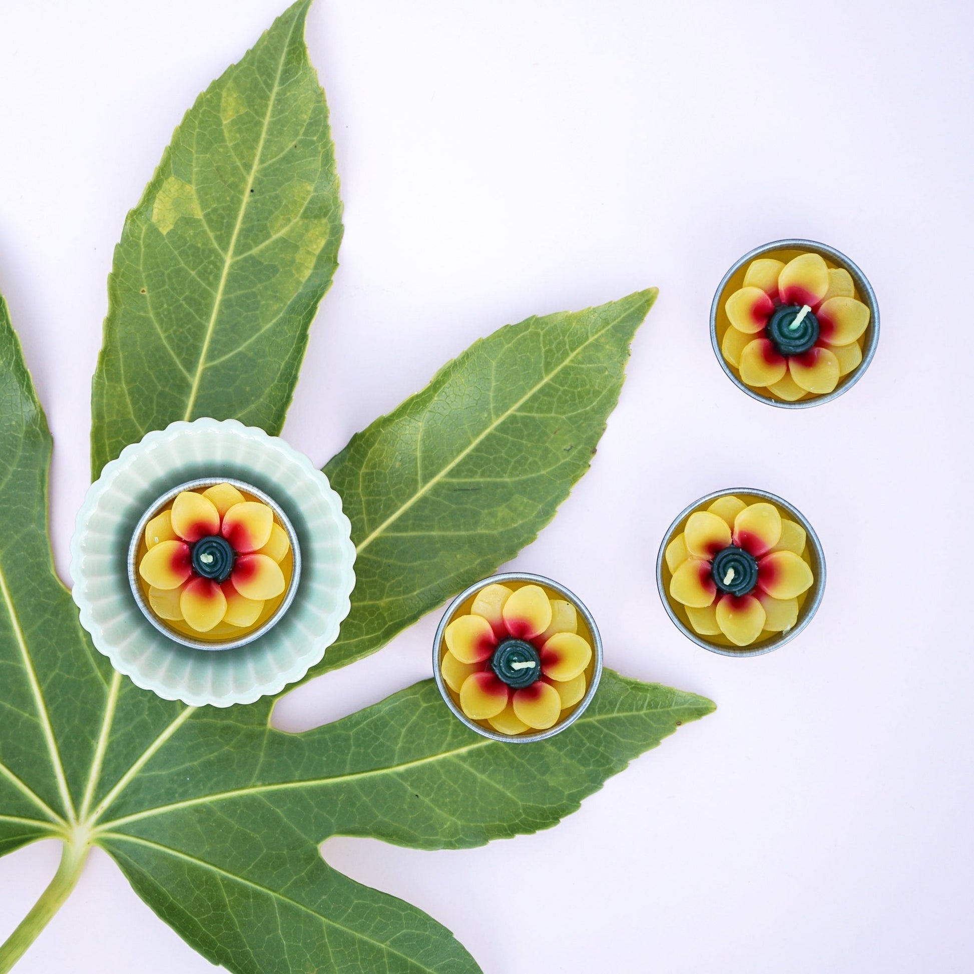Hand-poured sunflower-shaped tealights in botanical gift box, scented with Indian jasmine