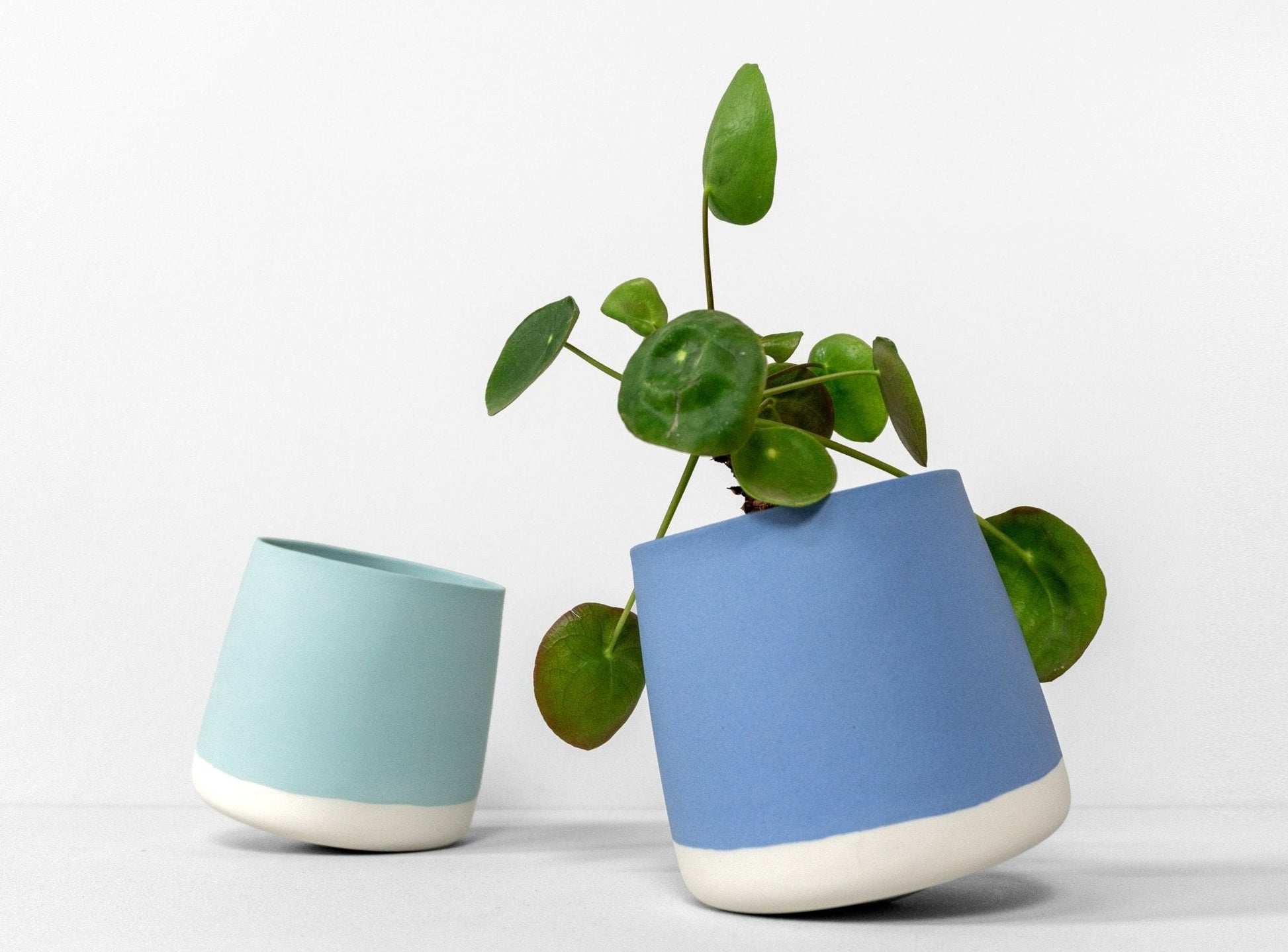 Swivel Flowerpot – Thoughtful Gift from The Gift Shop UAE