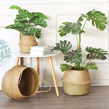 Seagrass Hanging Planter Basket - The Gift Shop