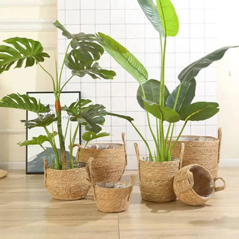 Seagrass Hanging Planter Basket - The Gift Shop