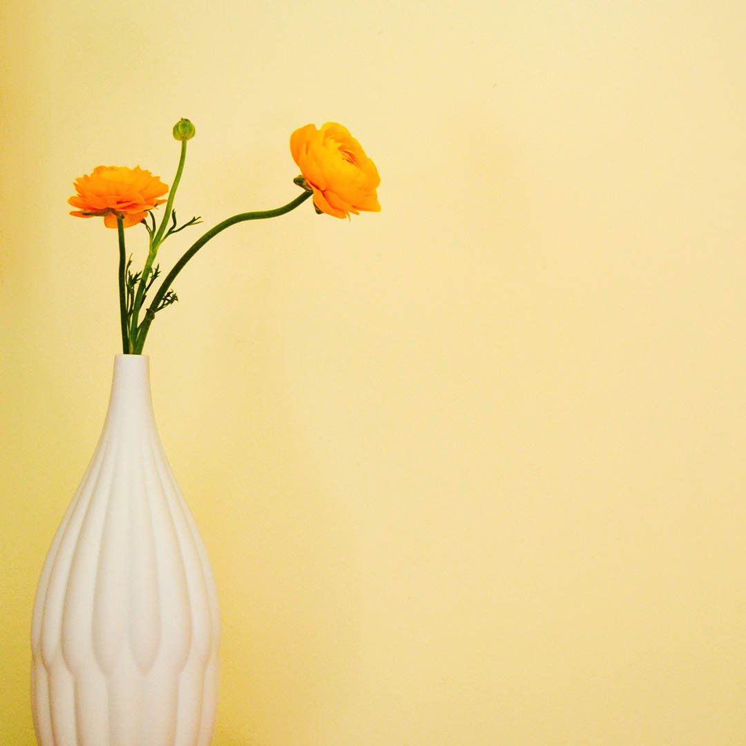 Award-Winning Trio: Textured Porcelain Vases Set