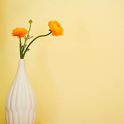 Award-Winning Trio: Textured Porcelain Vases Set